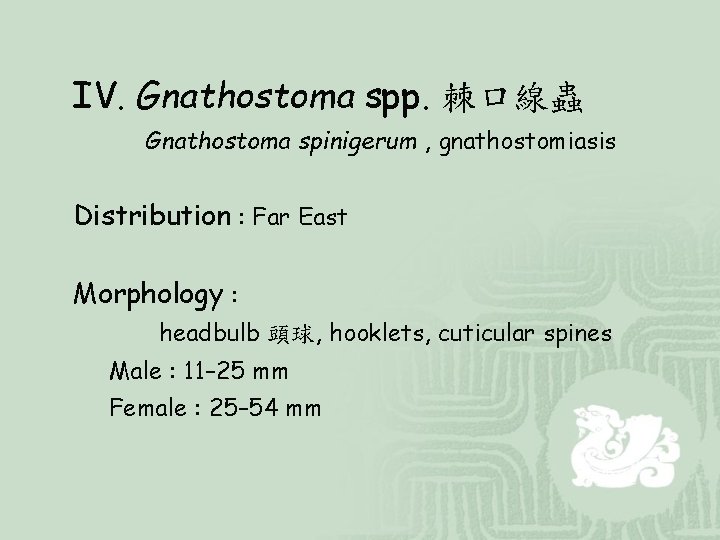 IV. Gnathostoma spp. 棘口線蟲 Gnathostoma spinigerum , gnathostomiasis Distribution : Far East Morphology :