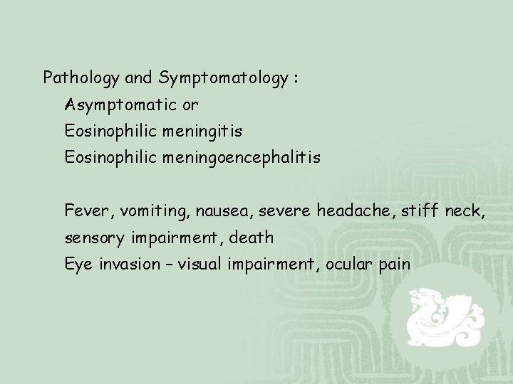 Pathology and Symptomatology : Asymptomatic or Eosinophilic meningitis Eosinophilic meningoencephalitis Fever, vomiting, nausea, severe