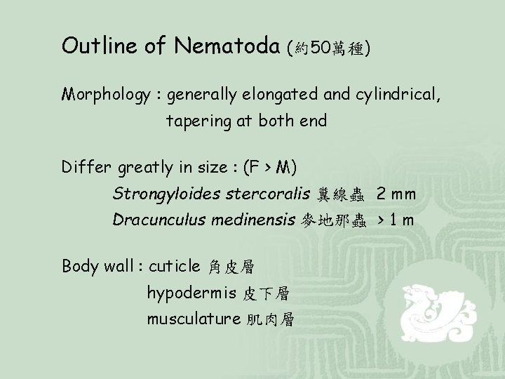 Outline of Nematoda (約50萬種) Morphology : generally elongated and cylindrical, tapering at both end