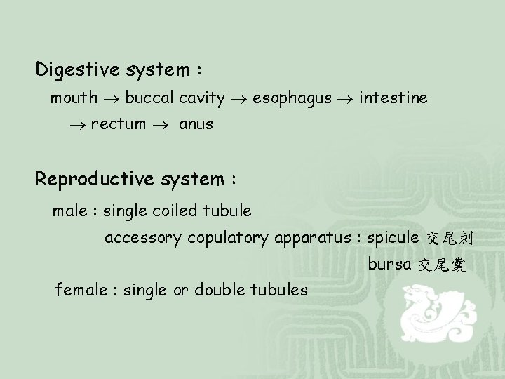 Digestive system : mouth buccal cavity esophagus intestine rectum anus Reproductive system : male