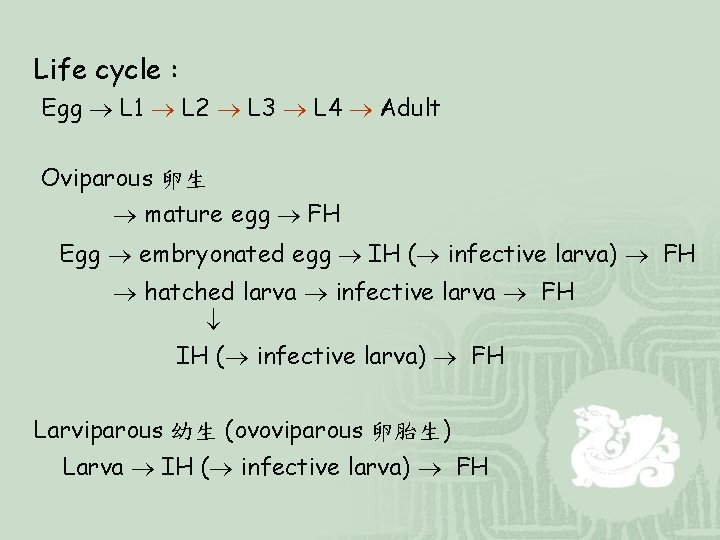 Life cycle : Egg L 1 L 2 L 3 L 4 Adult Oviparous