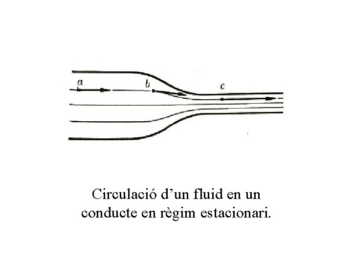 Circulació d’un fluid en un conducte en règim estacionari. 