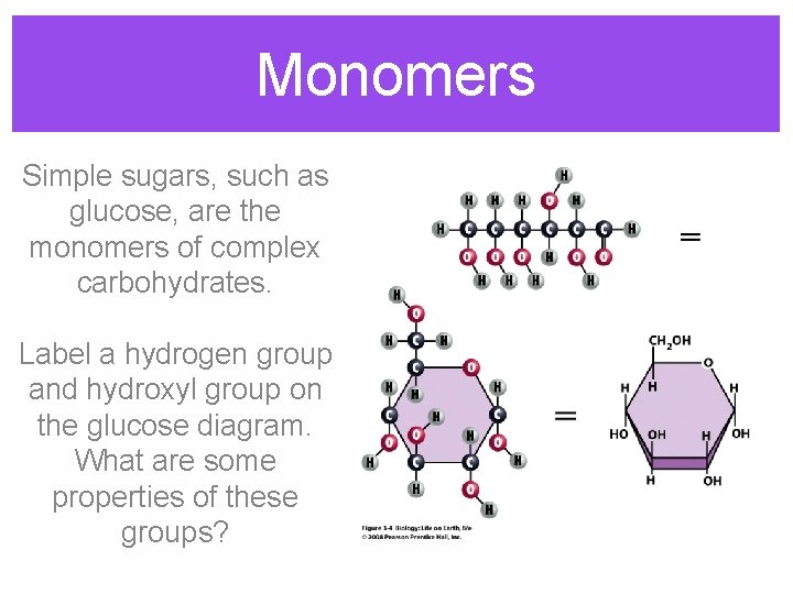 Monomers Simple sugars, such as glucose, are the monomers of complex carbohydrates. Label a