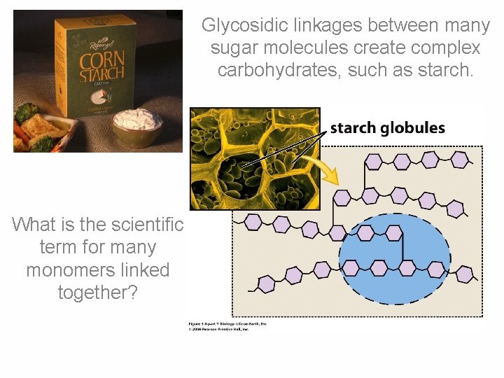 Glycosidic linkages between many sugar molecules create complex carbohydrates, such as starch. What is