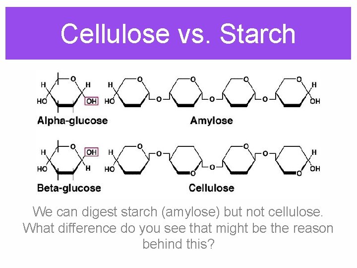 Cellulose vs. Starch We can digest starch (amylose) but not cellulose. What difference do