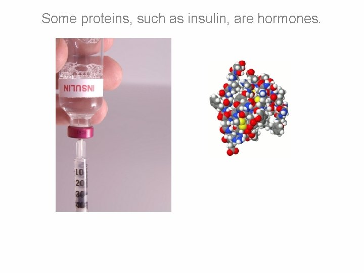 Some proteins, such as insulin, are hormones. 