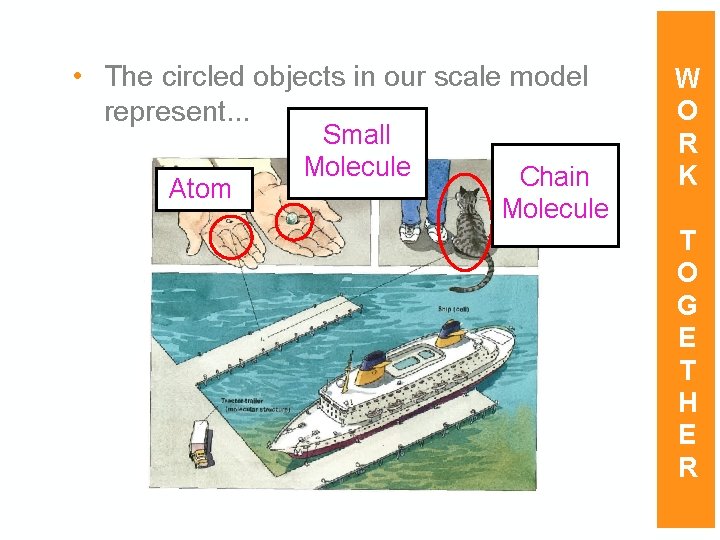  • The circled objects in our scale model represent. . . Atom Small