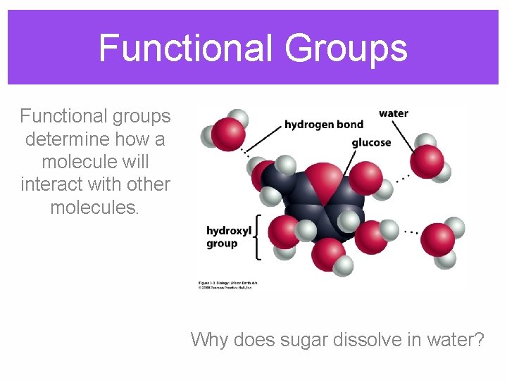 Functional Groups Functional groups determine how a molecule will interact with other molecules. Why