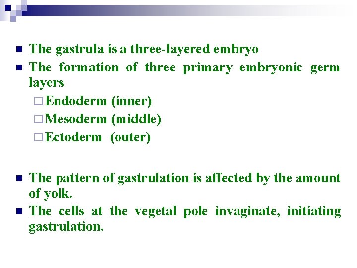 n n The gastrula is a three-layered embryo The formation of three primary embryonic