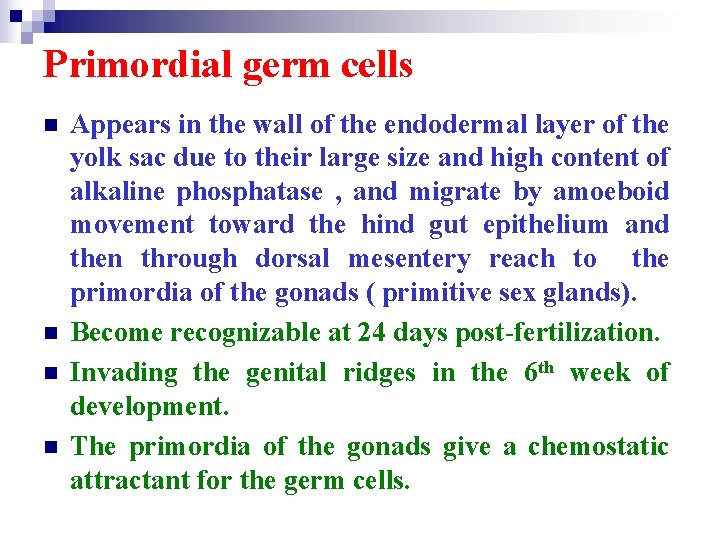 Primordial germ cells n n Appears in the wall of the endodermal layer of