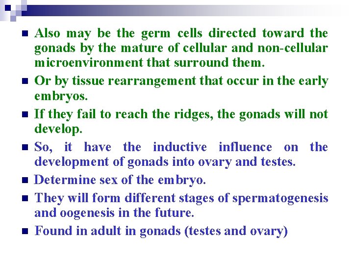 n n n n Also may be the germ cells directed toward the gonads