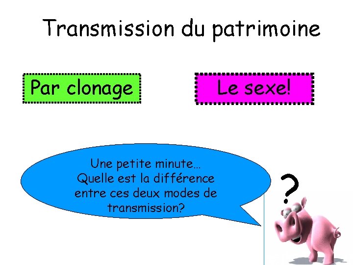 Transmission du patrimoine Par clonage Une petite minute… Quelle est la différence entre ces