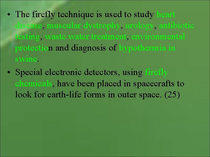  • The firefly technique is used to study heart disease, muscular dystrophy, urology,