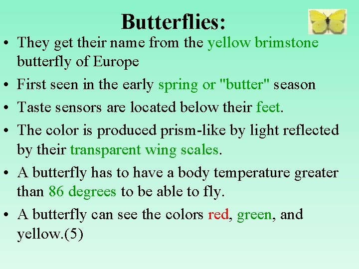 Butterflies: • They get their name from the yellow brimstone butterfly of Europe •