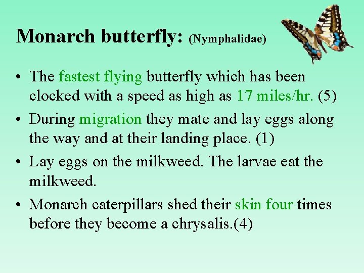 Monarch butterfly: (Nymphalidae) • The fastest flying butterfly which has been clocked with a