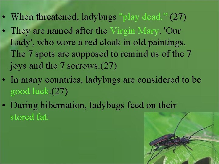  • When threatened, ladybugs "play dead. ” (27) • They are named after