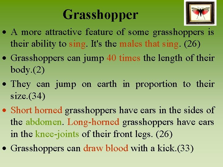 Grasshopper A more attractive feature of some grasshoppers is their ability to sing. It's