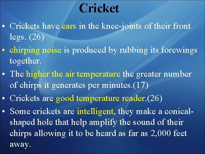 Cricket • Crickets have ears in the knee-joints of their front legs. (26) •