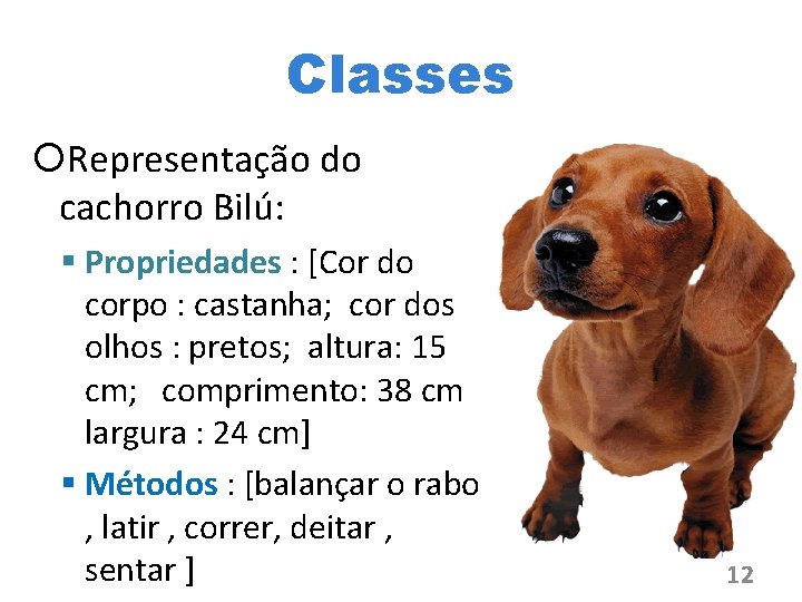 Classes Representação do cachorro Bilú: Propriedades : [Cor do corpo : castanha; cor dos