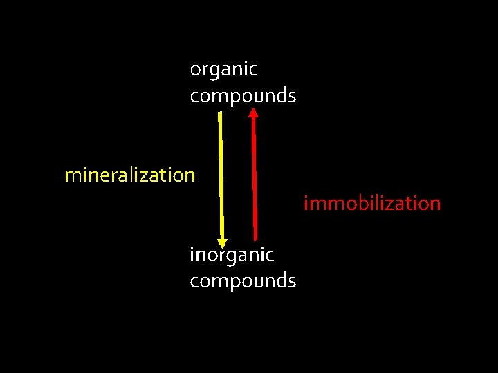 organic compounds mineralization immobilization inorganic compounds 