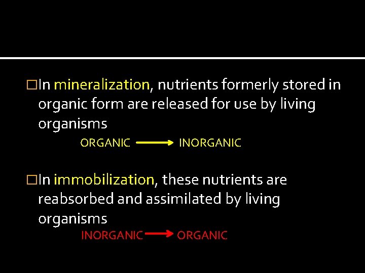 �In mineralization, nutrients formerly stored in organic form are released for use by living