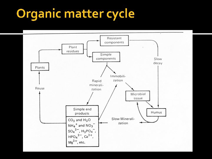 Organic matter cycle 
