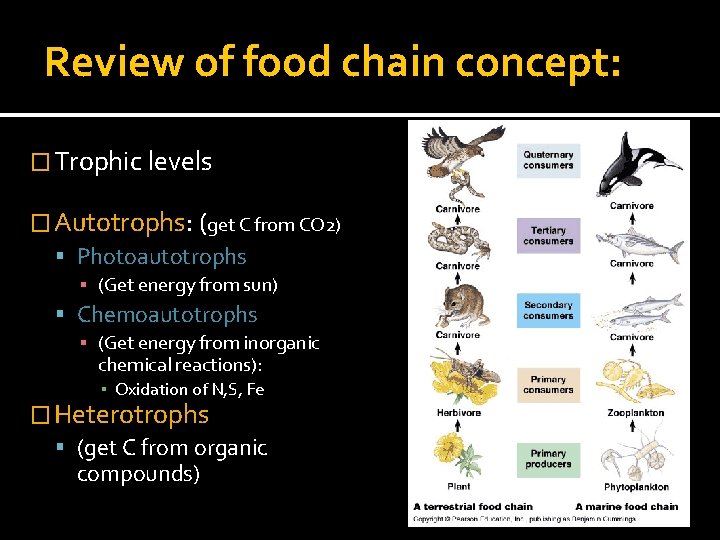 Review of food chain concept: � Trophic levels � Autotrophs: (get C from CO
