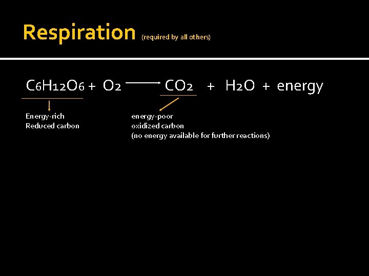 Respiration C 6 H 12 O 6 + O 2 Energy-rich Reduced carbon (required