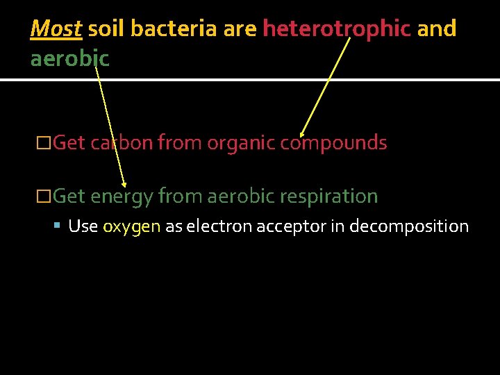 Most soil bacteria are heterotrophic and aerobic �Get carbon from organic compounds �Get energy
