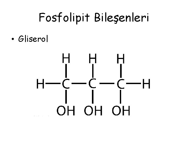 Fosfolipit Bileşenleri • Gliserol 