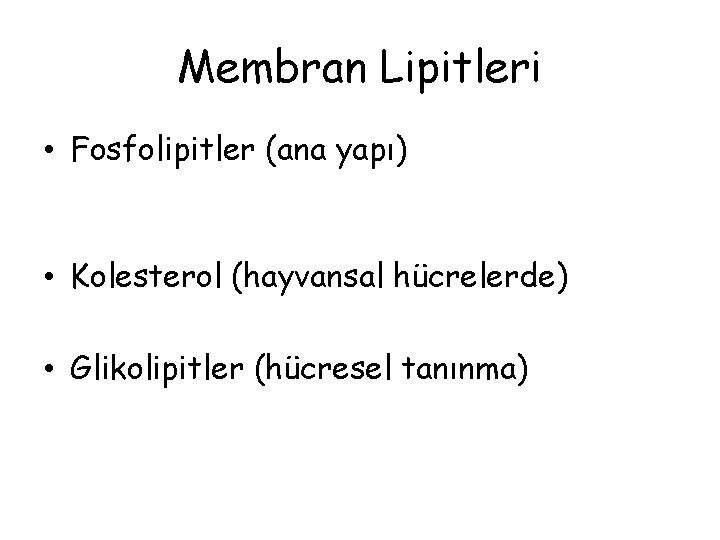 Membran Lipitleri • Fosfolipitler (ana yapı) • Kolesterol (hayvansal hücrelerde) • Glikolipitler (hücresel tanınma)