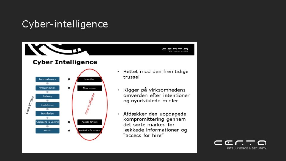 Cyber-intelligence 