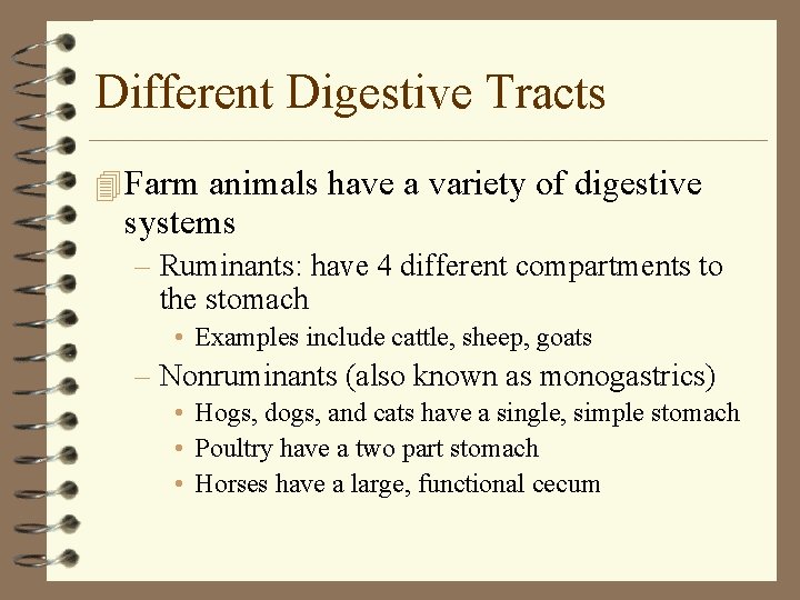 Different Digestive Tracts 4 Farm animals have a variety of digestive systems – Ruminants: