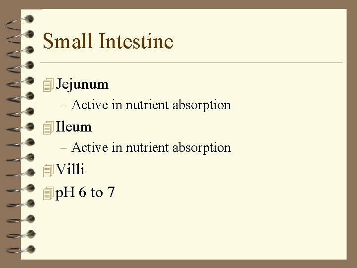Small Intestine 4 Jejunum – Active in nutrient absorption 4 Ileum – Active in