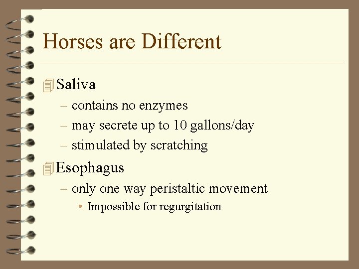 Horses are Different 4 Saliva – contains no enzymes – may secrete up to