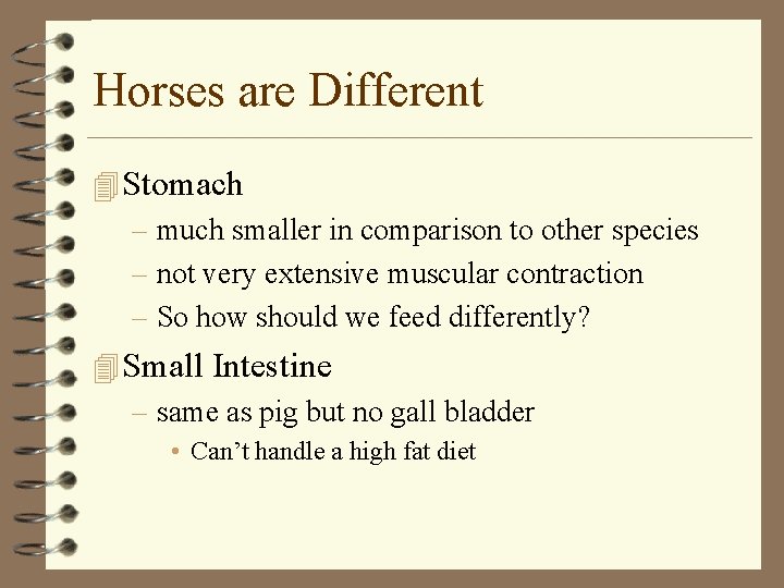 Horses are Different 4 Stomach – much smaller in comparison to other species –