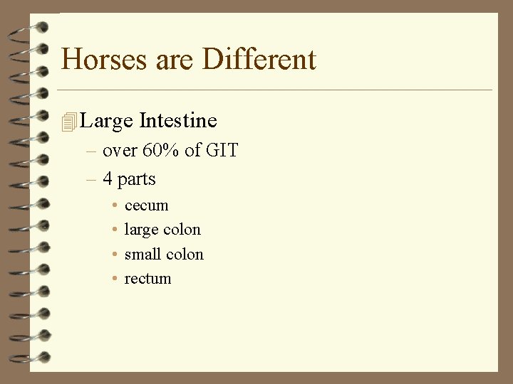Horses are Different 4 Large Intestine – over 60% of GIT – 4 parts