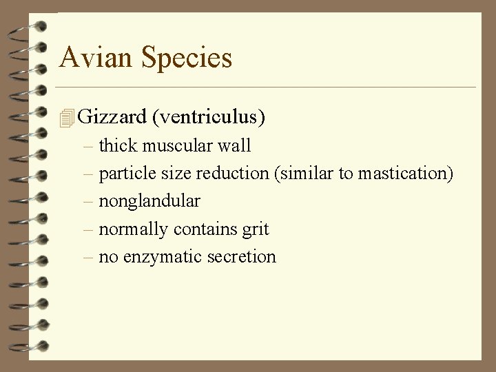 Avian Species 4 Gizzard (ventriculus) – thick muscular wall – particle size reduction (similar