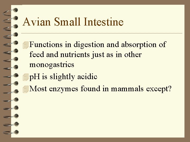 Avian Small Intestine 4 Functions in digestion and absorption of feed and nutrients just