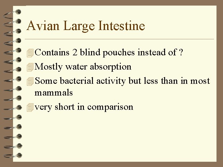Avian Large Intestine 4 Contains 2 blind pouches instead of ? 4 Mostly water