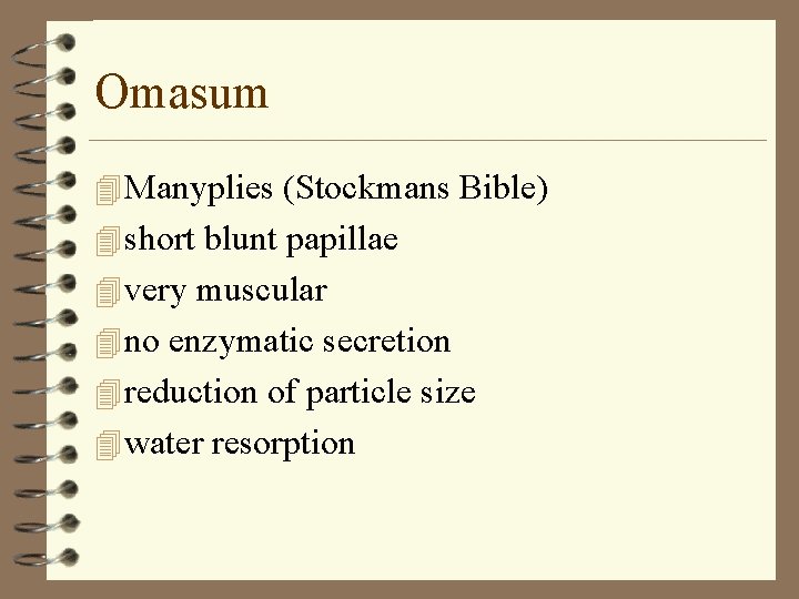 Omasum 4 Manyplies (Stockmans Bible) 4 short blunt papillae 4 very muscular 4 no