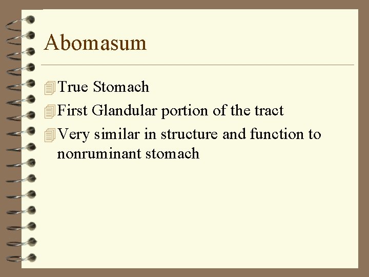 Abomasum 4 True Stomach 4 First Glandular portion of the tract 4 Very similar