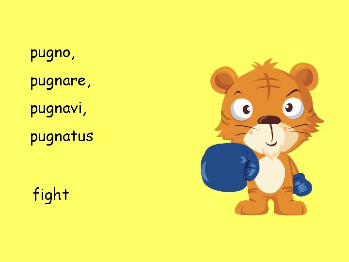 pugno, pugnare, pugnavi, pugnatus fight pugno, pugnare, pugnavi, pugnatus fight