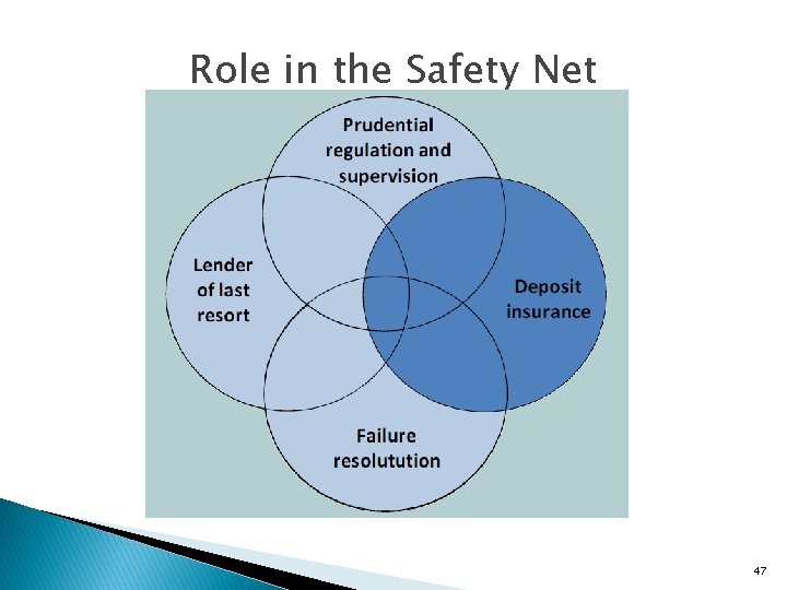 Role in the Safety Net 47 