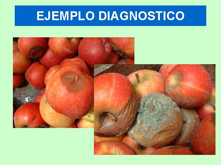EJEMPLO DIAGNOSTICO 