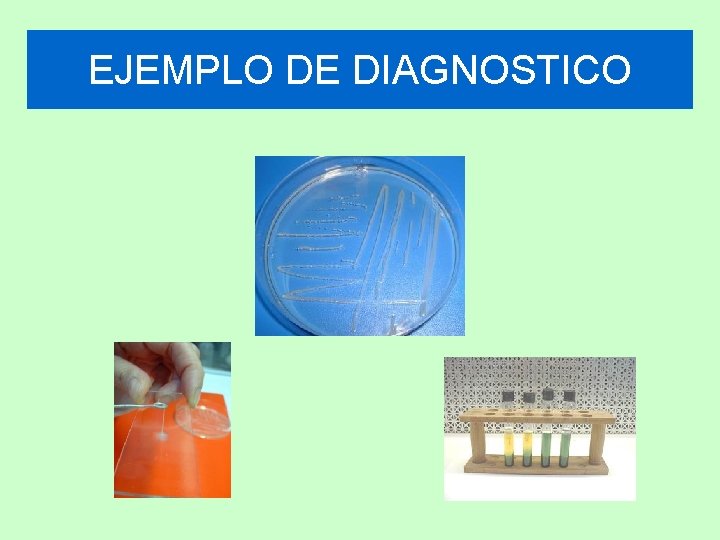 EJEMPLO DE DIAGNOSTICO 