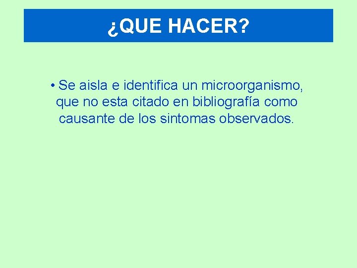 ¿QUE HACER? • Se aisla e identifica un microorganismo, que no esta citado en
