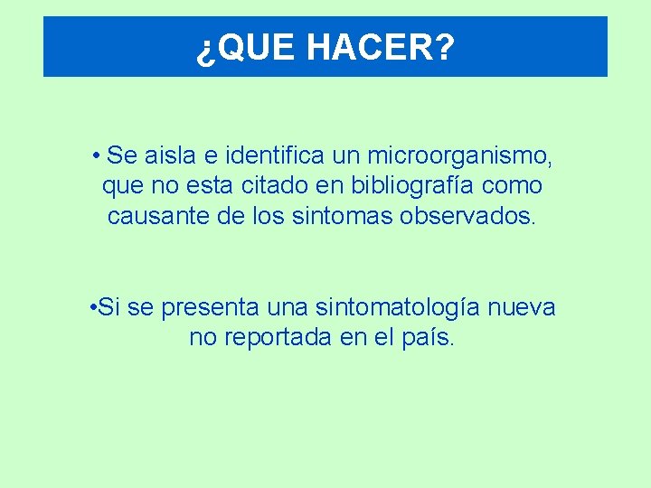 ¿QUE HACER? • Se aisla e identifica un microorganismo, que no esta citado en