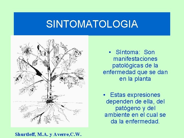 SINTOMATOLOGIA • Síntoma: Son manifestaciones patológicas de la enfermedad que se dan en la