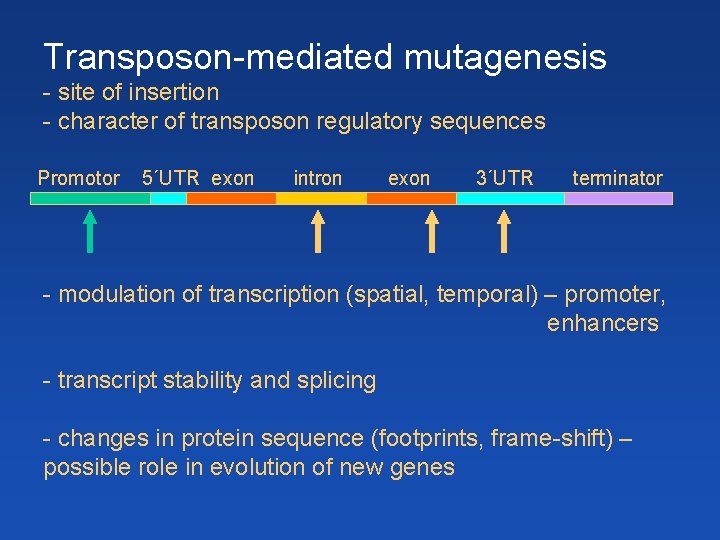 Transposon-mediated mutagenesis - site of insertion - character of transposon regulatory sequences Promotor 5´UTR